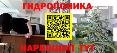 шишки Старая Купавна