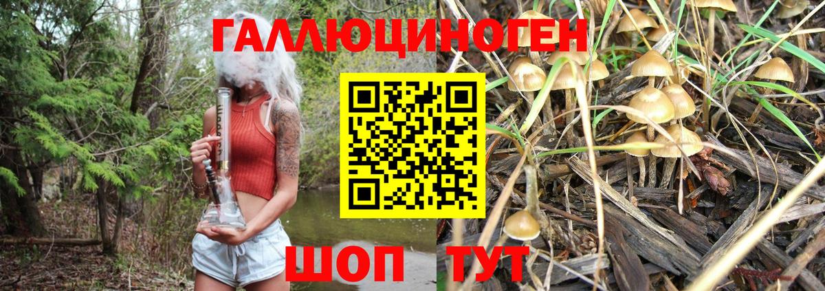 Псилоцибиновые грибы MAGIC MUSHROOMS  Вход с VPN  Орехово-Зуево 